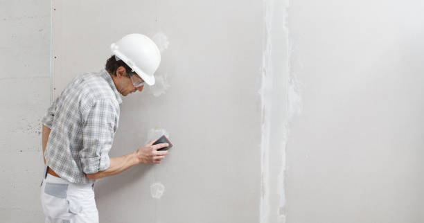 Best Indoor Air Quality Assessment  in Brownlee Park, MI