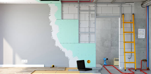 Best Emergency Mold Remediation  in Brownlee Park, MI