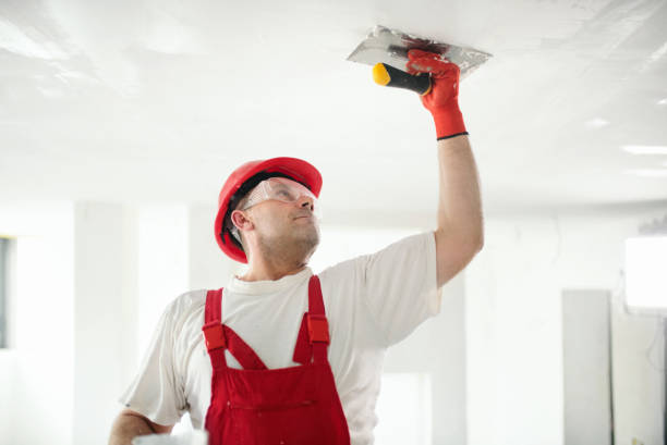 Environmental Consulting for Mold Prevention in Brownlee Park, MI
