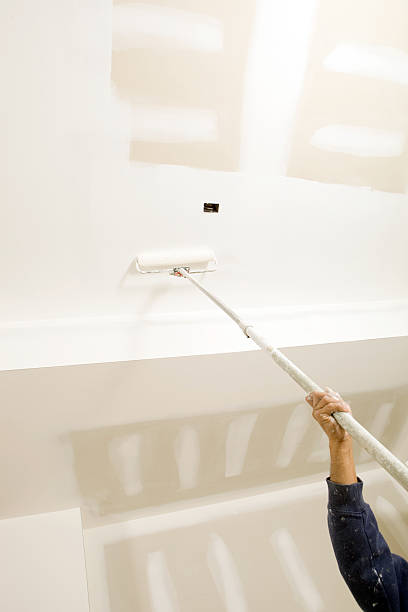 Best Attic Mold Removal  in Brownlee Park, MI