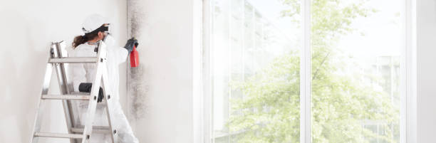 Best HVAC Mold Inspection and Cleaning  in Brownlee Park, MI